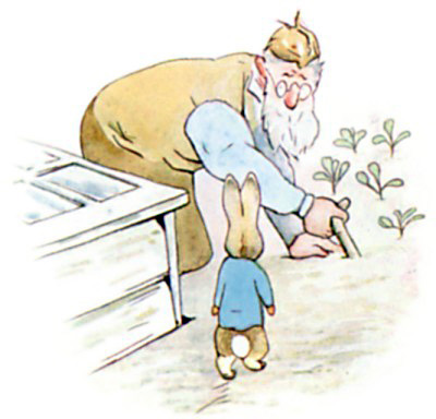 http://www.tonightsbedtimestory.com/wp-content/uploads/2008/11/the-tale-of-peter-rabbit-10.jpg