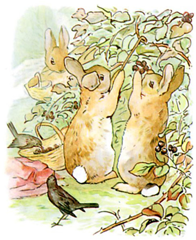 http://www.tonightsbedtimestory.com/wp-content/uploads/2008/11/the-tale-of-peter-rabbit-6.jpg
